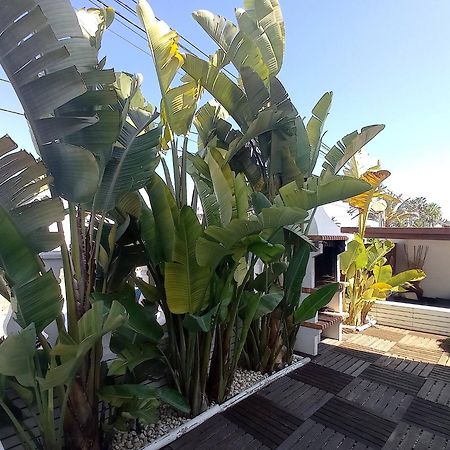 Villa Juncos Can Furnet Exterior photo