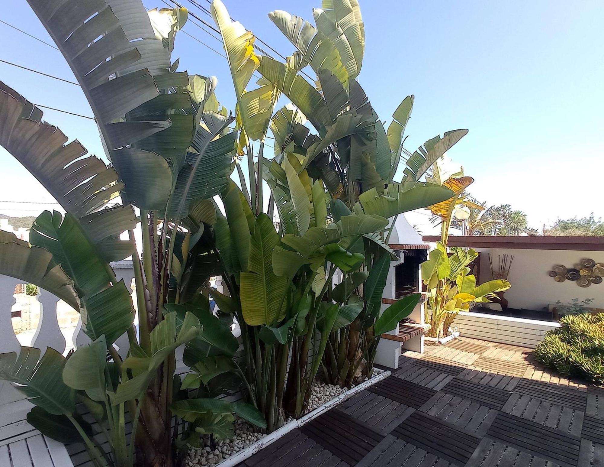 Villa Juncos Can Furnet Exterior photo